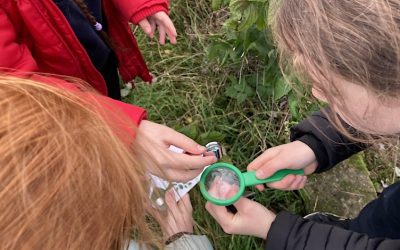 Children’s Nature and Forest School Event (Friday, 25th August 2023)