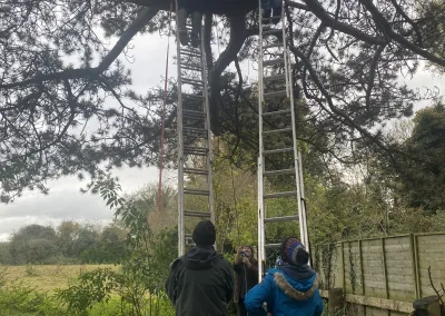 Kildare Birdwatch volunteers installing a Barn Owl nest box in a tree