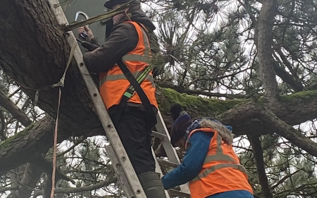 Barn Owl nest boxes installed